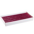 Sviečky stálofarebné Berry tyčinkové sviečky 34x300mm 4 ks | Floristik24.sk