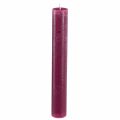 Floristik24 Sviečky jednofarebné tyčinkové sviečky Berry 34x240mm 4 ks