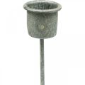 Floristik24 Zásuvný svietnik Shabby Chic sivý Ø3cm V8,5cm 8 ks