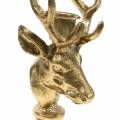 Floristik24 Svietnik starožitného vzhľadu hlava jeleňa zlatý kov 19,5cm