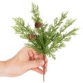 Umelý borovicový konár so šiškami, 28 cm, 6 kusov | Floristik24.sk