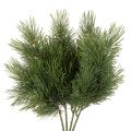 Floristik24 Umelý borovicový konár na zimnú dekoráciu, 40 cm, 4 kusy