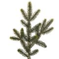 Floristik24 Umelý jedľový konár na dekoráciu stola a aranžmány, 45 cm, 3 kusy