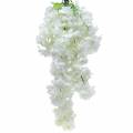 Floristik24 Konár z čerešňového kvetu s 5 konármi biely umelý 75cm