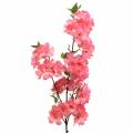 Floristik24 Konár z čerešňového kvetu umelý ružový 103cm
