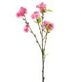 Floristik24 Cherry Blossom Branch Pink 100cm