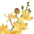 Floristik24 Malá orchidea Phalaenopsis umelá žltá 30cm
