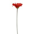 Floristik24 Umelé kvety Gerbera červená 45cm