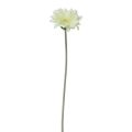 Floristik24 Umelé kvety Gerbera biela 45cm