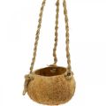 Floristik24 Závesná kokosová miska, prírodná miska na rastliny, závesný košík Ø8cm L55cm