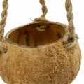 Floristik24 Závesná kokosová miska, prírodná miska na rastliny, závesný košík Ø8cm L55cm