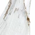 Floristik24 Kokosová škrupina Kokosový list umytý na bielo