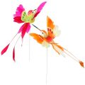 Floristik24 Kolibrík na drôte na prilepenie ružový, oranžový 17cm 6ks
