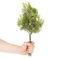 Umelý ihličnatý konár so šiškami ako umelá dekorácia na stôl, 39 cm, 4 kusy | Floristik24.sk