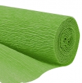 Floristik24 Kvetinárstvo Krepový papier Grass Green 50x250cm