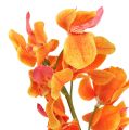 Floristik24 Orchidea umelá Mokara Orange 50cm 6ks