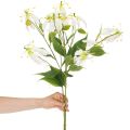 Umelý kvet Gloriosa, biely a žltý, elegantná kvitnúca vetvička na dekoráciu, 80 cm, 3 kusy | Floristik24.sk