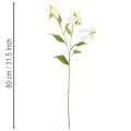 Umelý kvet Gloriosa, biely a žltý, elegantná kvitnúca vetvička na dekoráciu, 80 cm, 3 kusy | Floristik24.sk