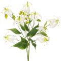 Umelý kvet Gloriosa, biely a