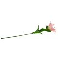 Floristik24 Umelá Lily Pink Real Touch 100cm