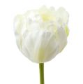 Floristik24 Umelé tulipány bielo-zelené 86cm 3ks