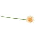 Floristik24 Umelé kvety Gerbera Marhuľa 47cm