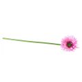 Floristik24 Umelé kvety Gerbera ružová 47cm