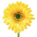 Floristik24 Umelé kvety gerbera slnečno žltá 47cm