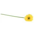 Floristik24 Umelé kvety gerbera slnečno žltá 47cm