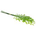 Floristik24 Umelá tráva dekoratívna trasľavá trávová zelená 47cm zväzok 3 kusov