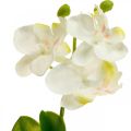 Floristik24 Umelé orchidey Umelá kvetina orchidea biela 20cm