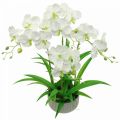 Floristik24 Umelé orchidey umelé kvety v bielom črepníku 60cm