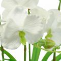 Floristik24 Umelé orchidey umelé kvety v bielom črepníku 60cm