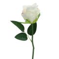 Umelé ruže v zväzku biele 30cm 8 ks | Floristik24.sk