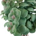 Floristik24 Umelý eukalyptus umelé rastliny na nalepenie 18cm 4ks