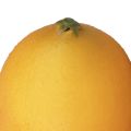 Floristik24 Umelé citrónové dekoratívne atrapy potravín oranžové 8,5 cm