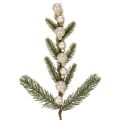 Floristik24 Umelá jedľová vetvička s bielymi mini vianočnými guľôčkami, 46 cm, 2 kusy