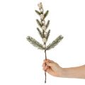 Umelá jedľová vetvička s bielymi mini vianočnými guľôčkami, 46 cm, 2 kusy | Floristik24.sk