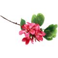 Floristik24 Umelá vetvička orchidey Bauhinia Pink umelá rastlina 62cm