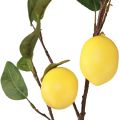 Floristik24 Umelá citrónová vetvička dekoračná vetvička s 3 žltými citrónmi 65cm