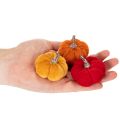 Dekoratívna tekvicová sada zo zamatu v troch farbách, mini tekvice 5 cm, 12 kusov | Floristik24.sk