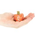 Sada tekvíc: Malé dekoratívne tekvice na jesennú výzdobu, 5 cm, 3 kusy | Floristik24.sk