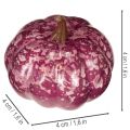 Sada mini tekvicových dekorácií, jesenné a halloweenske dekorácie, rôzne farby, 4 cm, 24 kusov | Floristik24.sk