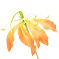 Umelý kvet Gloriosa oranžovej