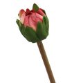 Floristik24 Umelý kvet georgín ružový kvet s púčikom V57cm