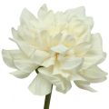 Floristik24 Umelý kvet Dahlia White Umelý kvet s púčikom V57cm