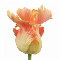 Floristik24 Umelý kvet, papagáj tulipán oranžový, jarný kvet 63cm