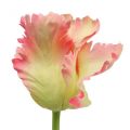 Floristik24 Umelý kvet, papagáj tulipán ružový, jarný kvet 63cm