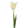Floristik24 Umelý kvet, papagáj tulipán bielozelený, jarný kvet 69cm
