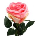 Floristik24 Umelý kvet ruža plnená ružová Ø10cm L65cm 3ks